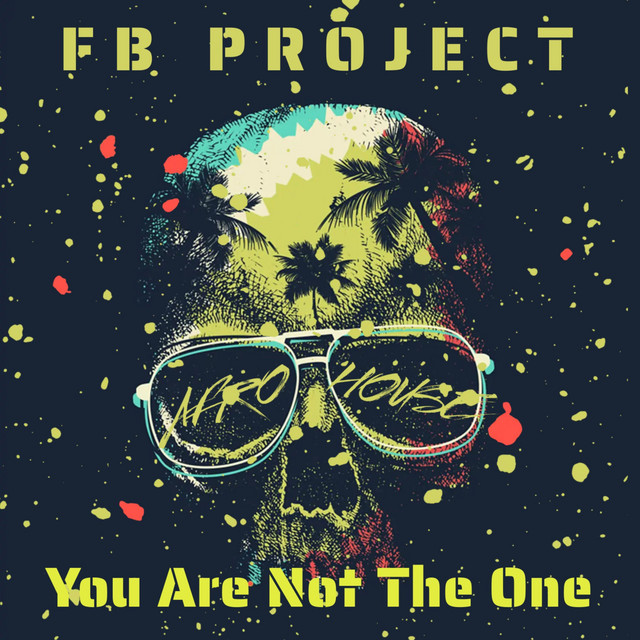 You Are Not the One (Afro House Extended Version) cover art