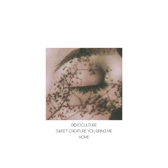 Sweet Creature You Bring Me Home cover art