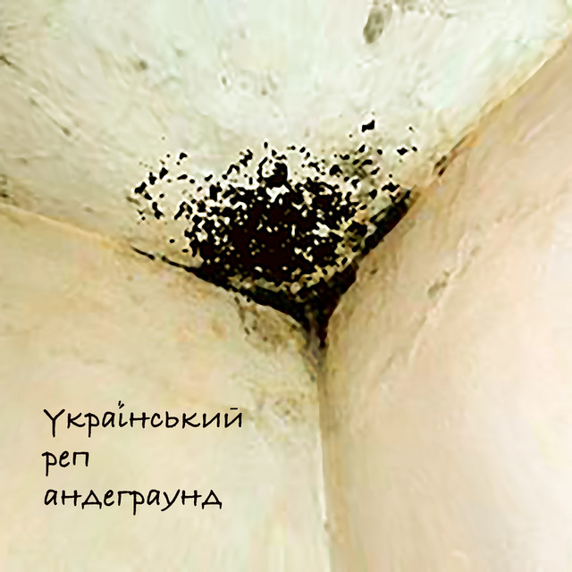 Обкладинка: Український реп андеграунд — Мох На Стінах