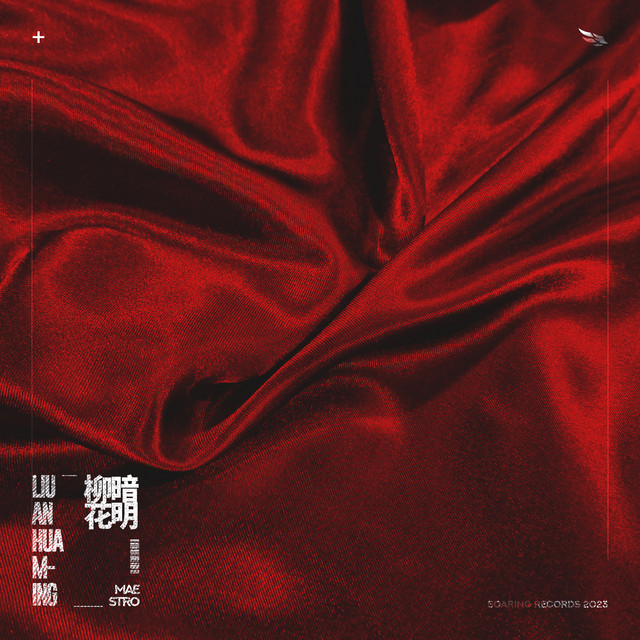柳暗花明 cover
