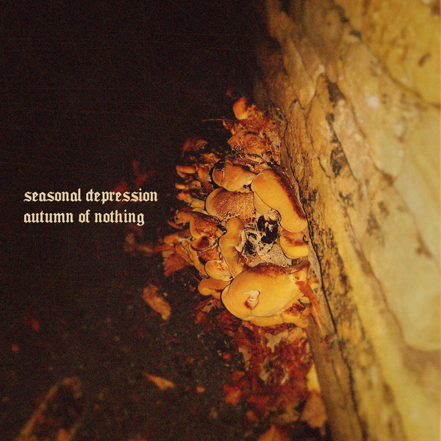 Seasonal Depression cover art