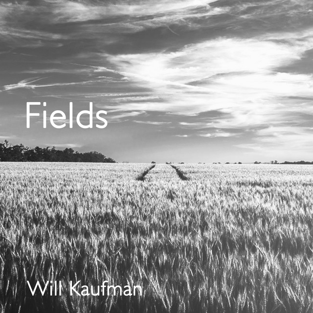 Fields cover art