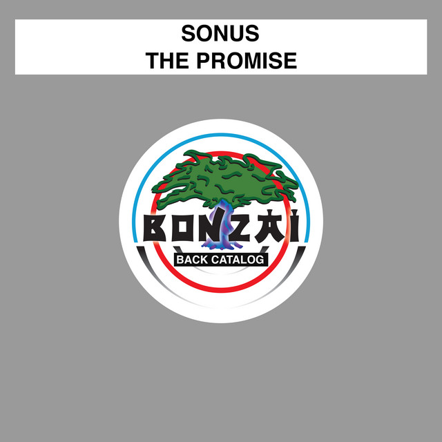 The Promise cover