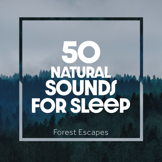 Forest Escapes: 50 Natural Sounds for Sleep - Album by Natural Sounds ...