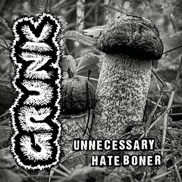 Unnecessary Hate Boner cover art