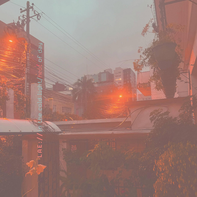 In The Cold Light/Heat of Day cover