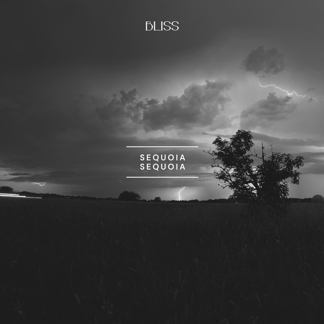 Bliss cover art
