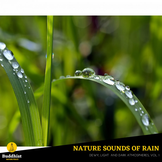 Nature Sounds of Rain - Dewy, Light and Dark Atmospheres, Vol. 1 ...