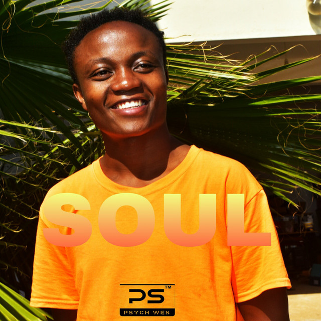 Soul cover art