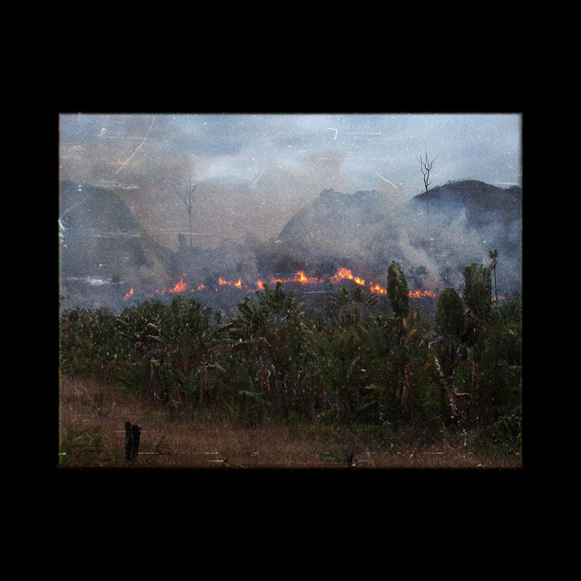 cathode (single)