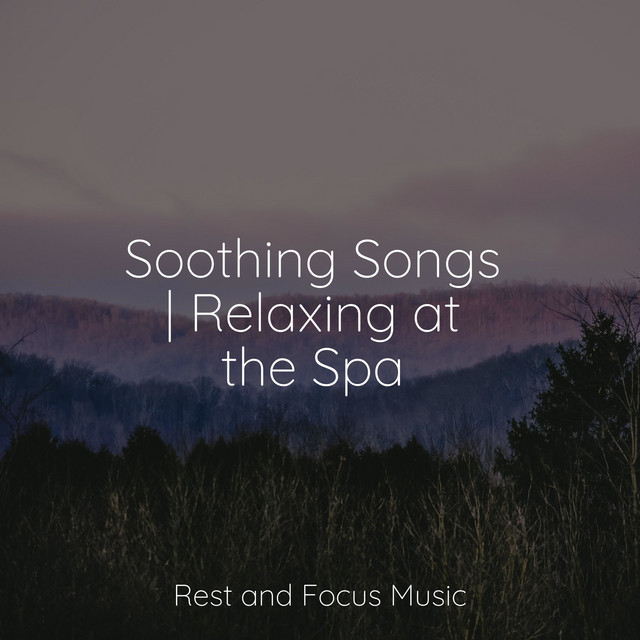Soothing Songs | Relaxing at the Spa - Album by Happy Baby Lullaby ...