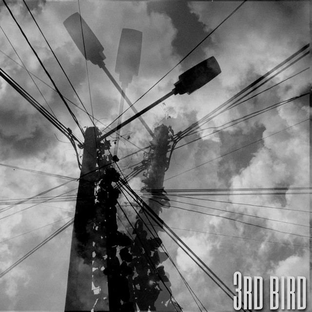 Interludio Disocial cover art