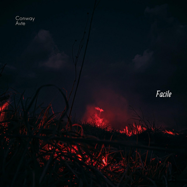 Facile cover art