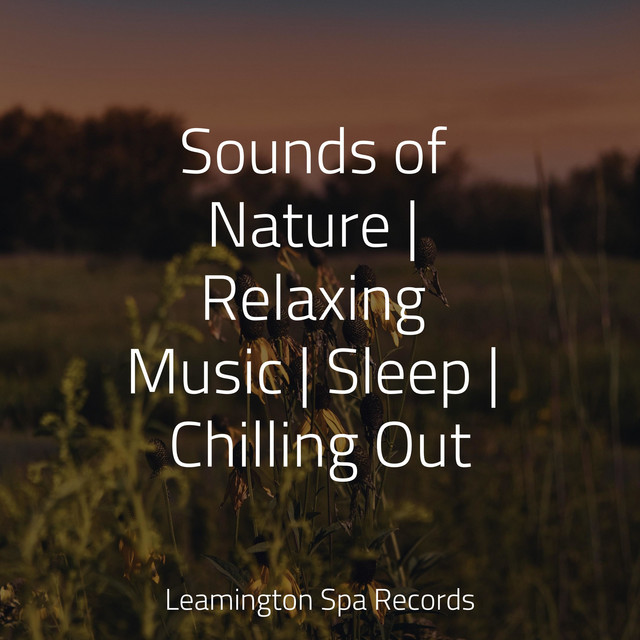 Sounds of Nature | Relaxing Music | Sleep | Chilling Out - Album by ...
