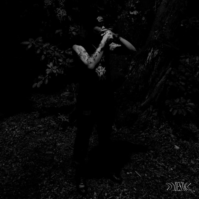 ENVOLVIMENTO cover art