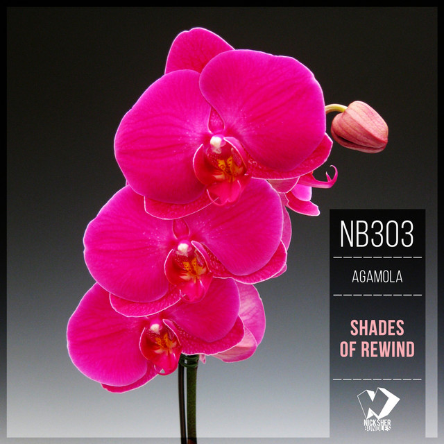 Shades of Rewind - Original Mix