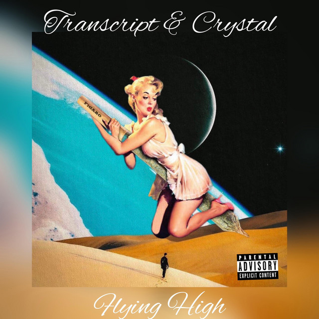Flying High (In Space) cover art
