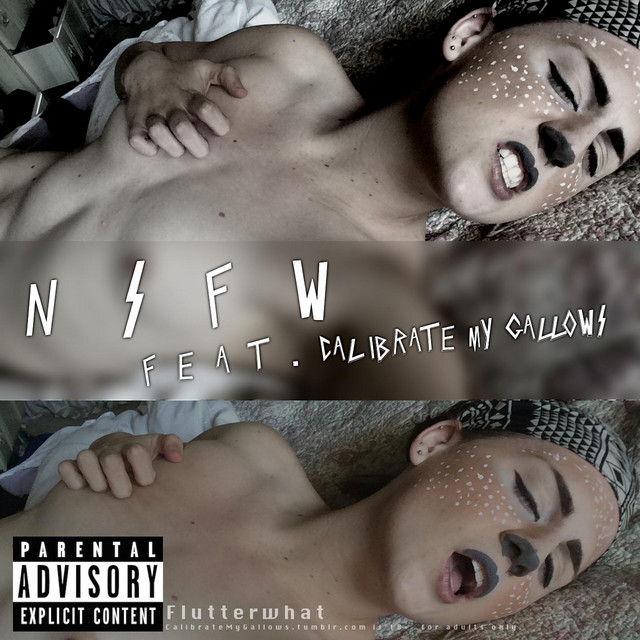 N S F W cover