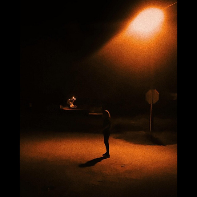 Tortuga cover