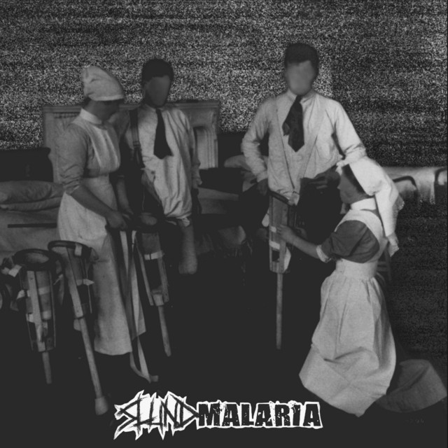 Malaria cover art