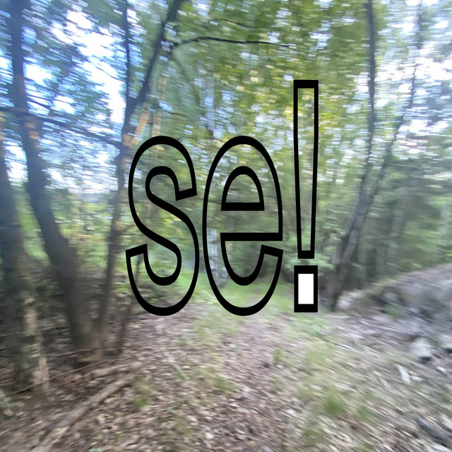 se! cover art