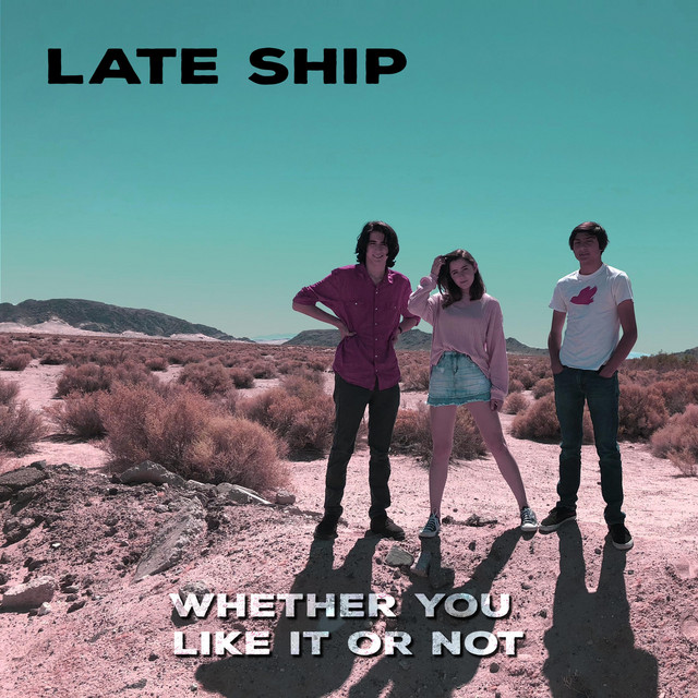 Whether You Like It or Not cover art