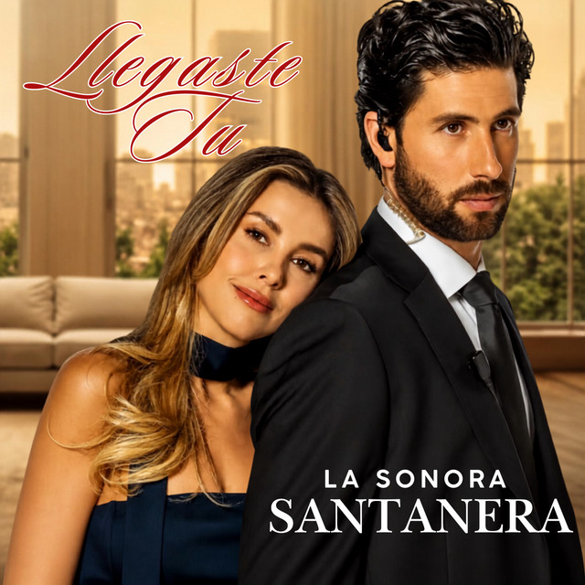 Llegaste Tu album image