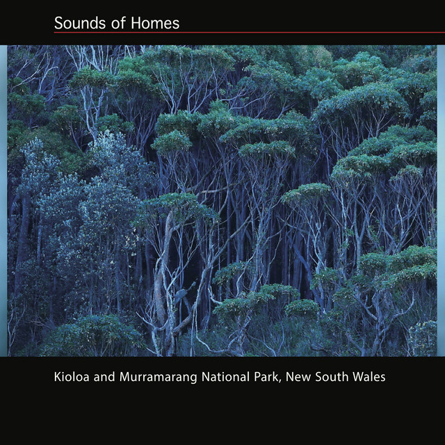 Sounds of Homes