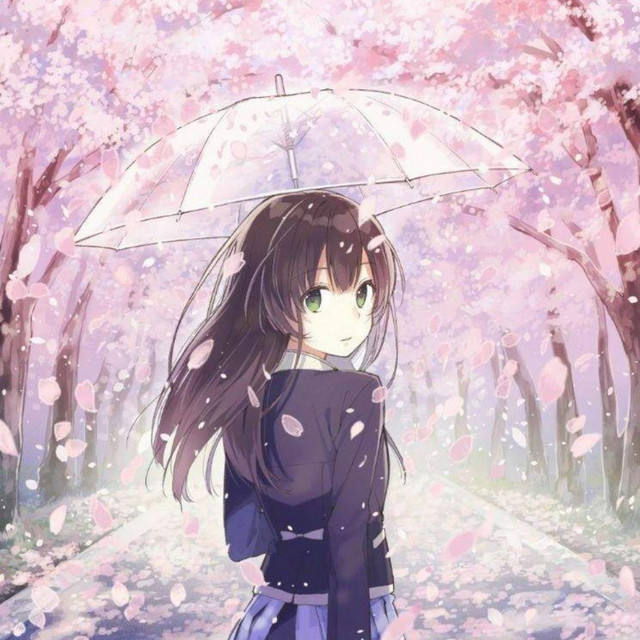 cherry blossom!