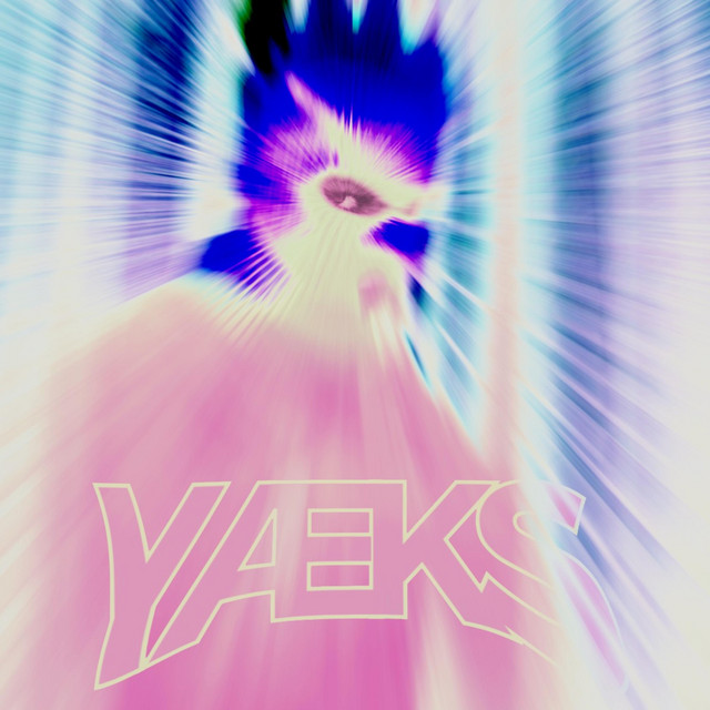YÆKS cover art