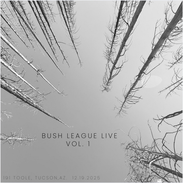 Bush Live, Vol. 1 cover art