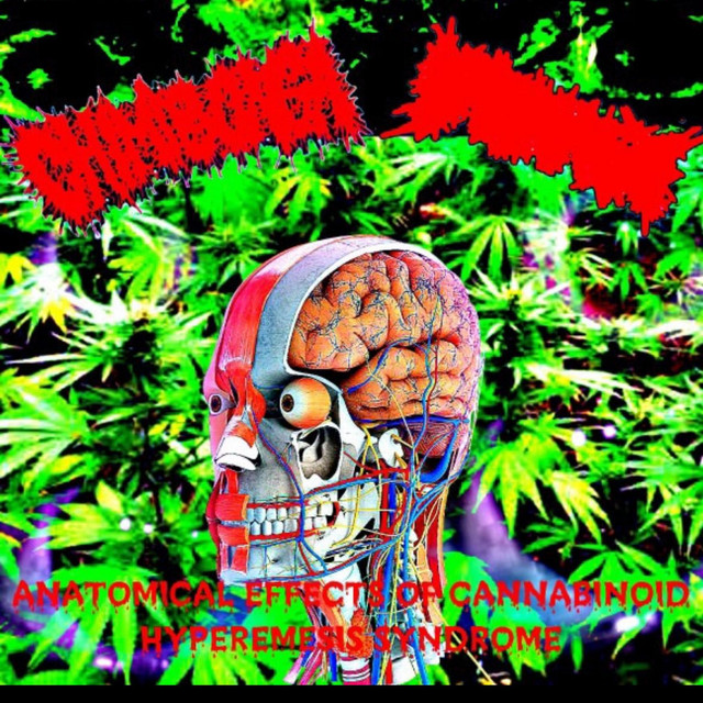 CHIMIBONGA/KARNAGE SPLIT cover art