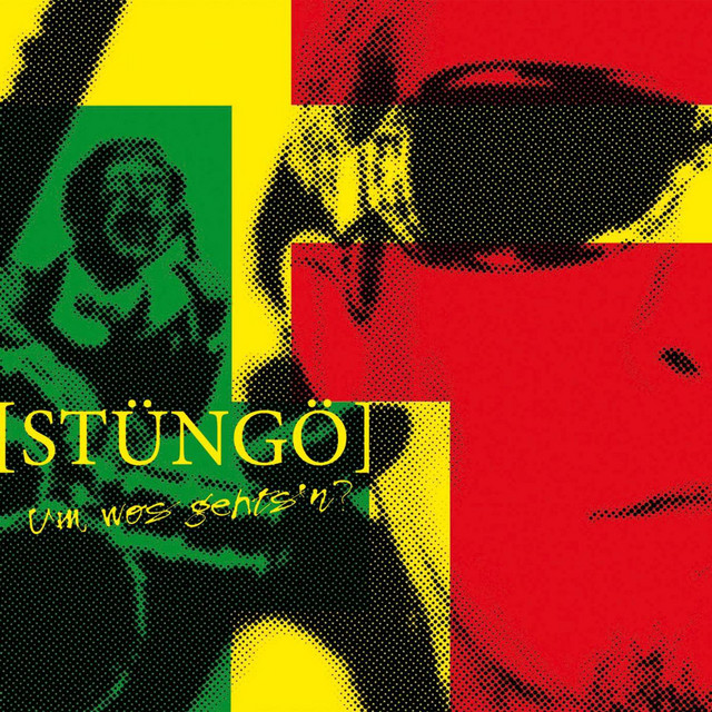 Stung photo