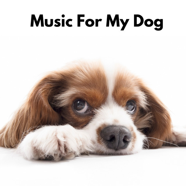 Music for My Dog cover art