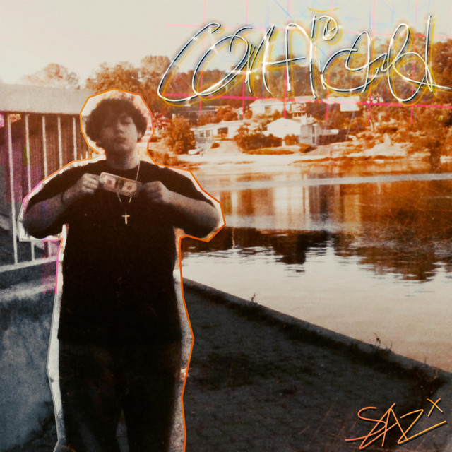 Conflicted cover art