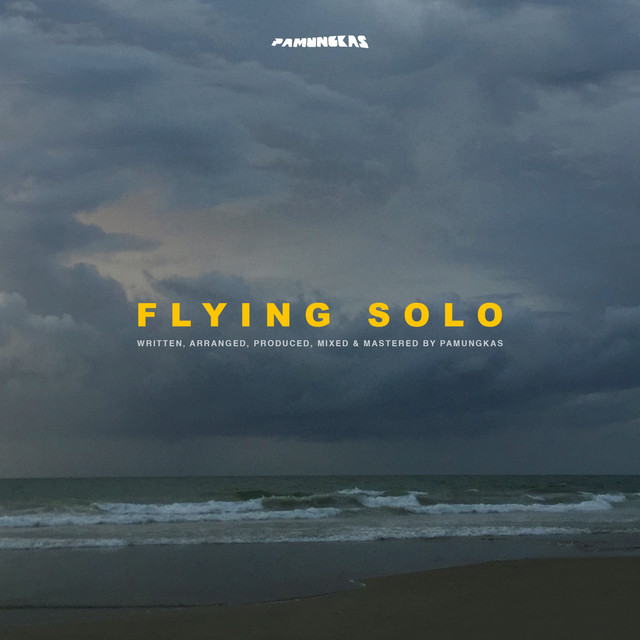 Flying Solo cover