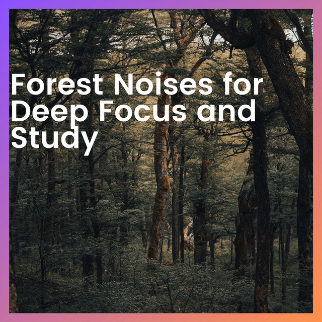 Forest Noises for Deep Focus and Study cover art