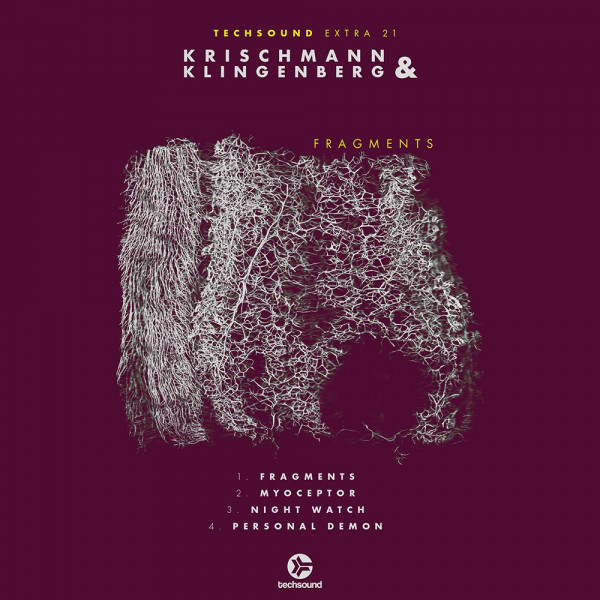 Techsound Extra 21: Fragments cover art