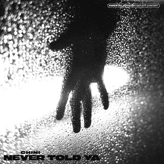 Never Told Ya cover art