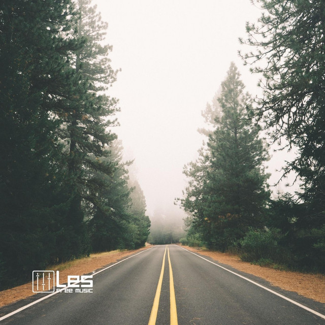 Обкладинка: Trip to Home — Lesfm
