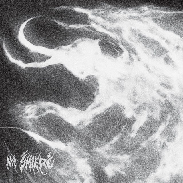 Na Śmierć cover art
