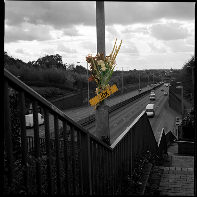 Lampost Bouquet cover art