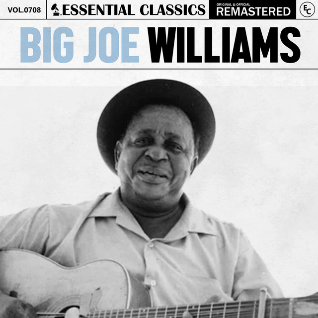 Essential Classics, Vol. 708: Big Joe Williams - Compilation by