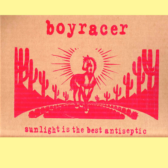 Sunlight Is The Best Antiseptic cover