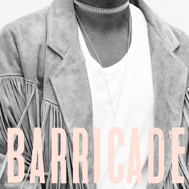 Barricade cover