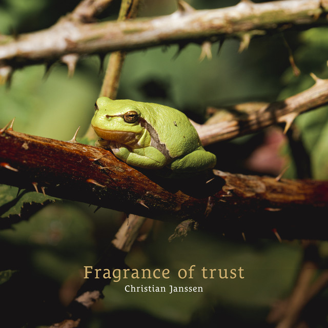Fragrance of trust album image