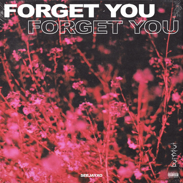 Forget You