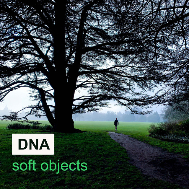 Soft Objects cover art