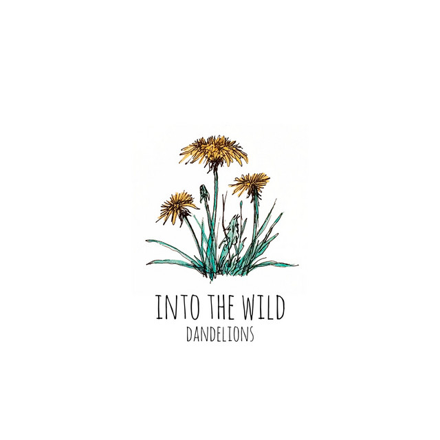 Into the Wild Photo