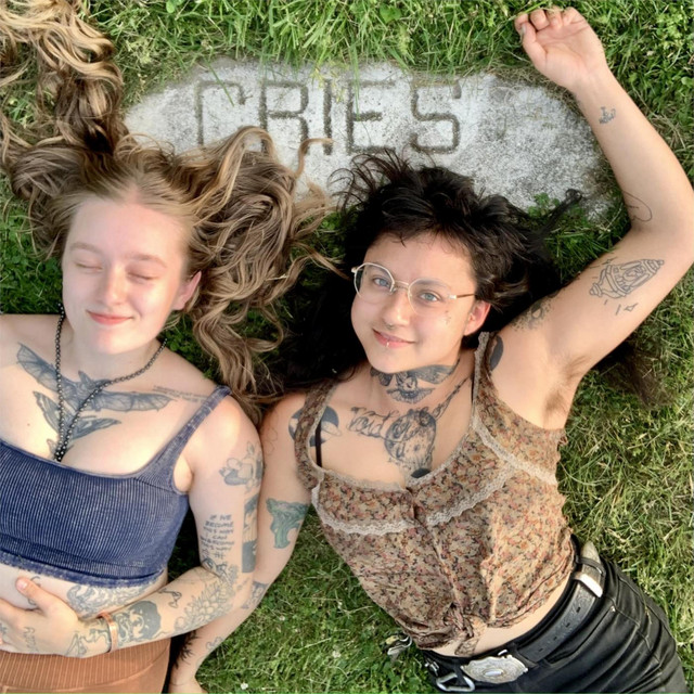 cries cover art